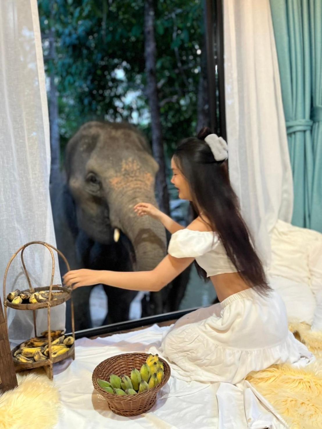 3Pok-Riverside Maewangjinxiang Mae Wang Ngoại thất bức ảnh