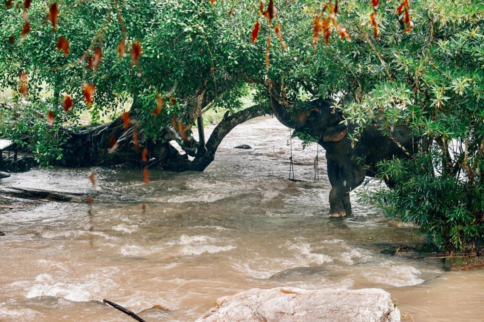 3Pok-Riverside Maewangjinxiang Mae Wang Ngoại thất bức ảnh