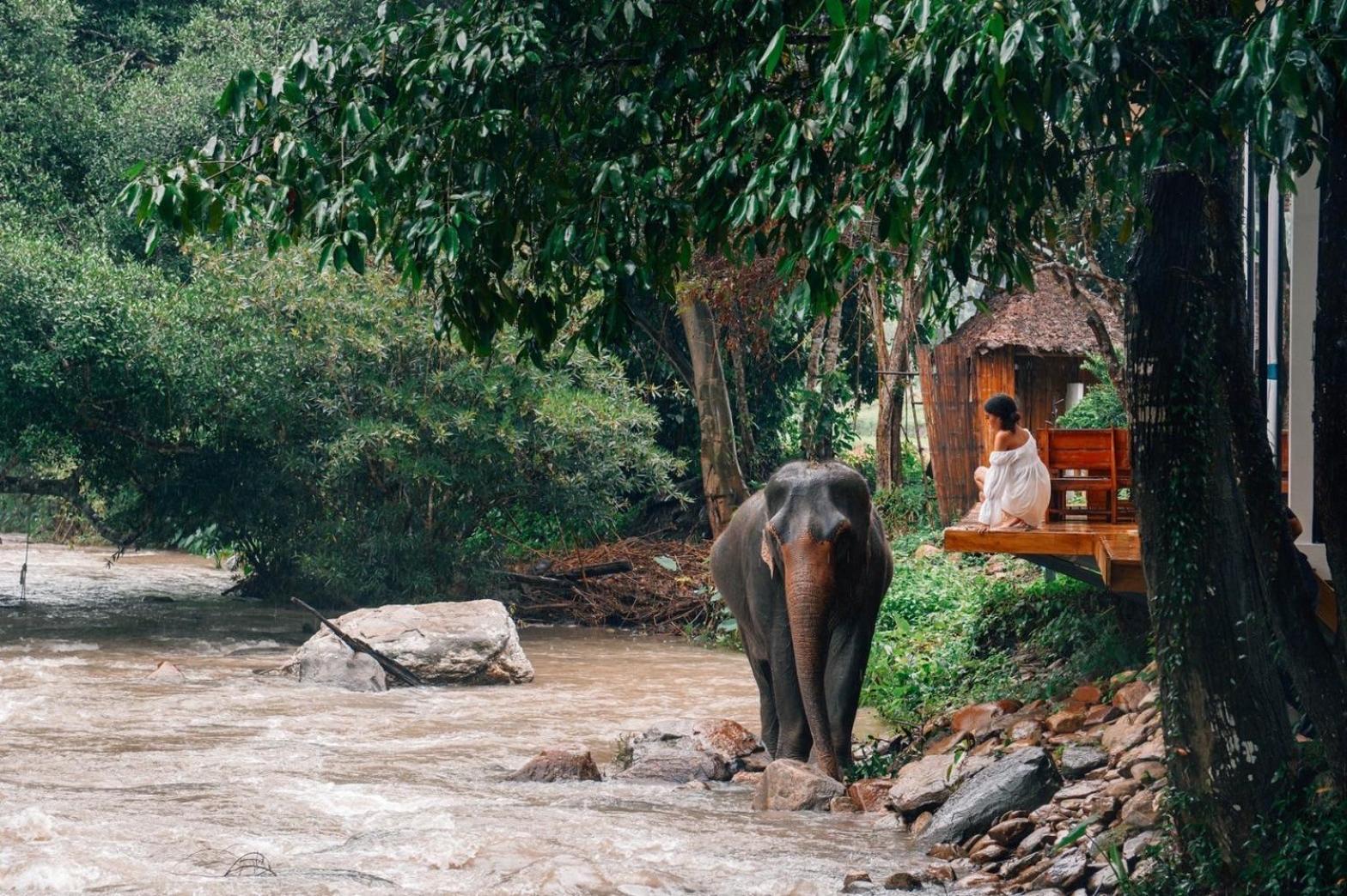 3Pok-Riverside Maewangjinxiang Mae Wang Ngoại thất bức ảnh